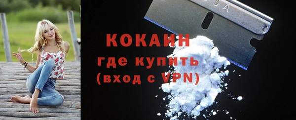 сатива Россошь