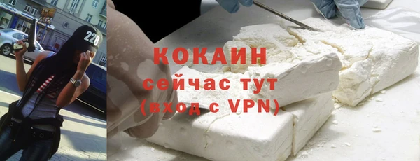 ешки Алексин