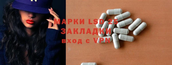 сатива Россошь