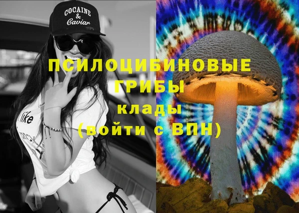первитин Армянск