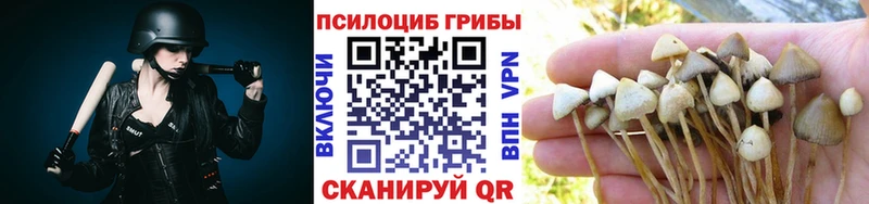 Псилоцибиновые грибы Psilocybine cubensis Харабали